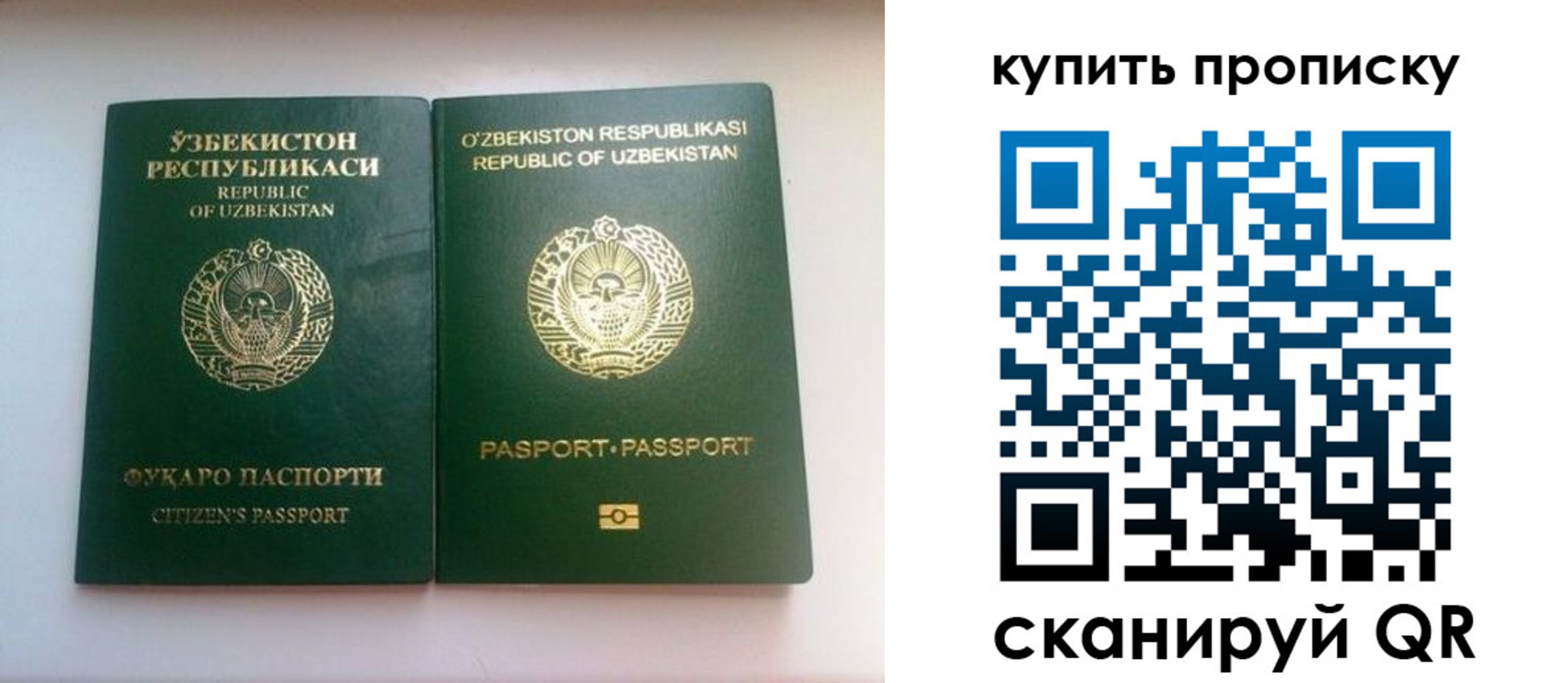прописка в квартире в Оленегорске